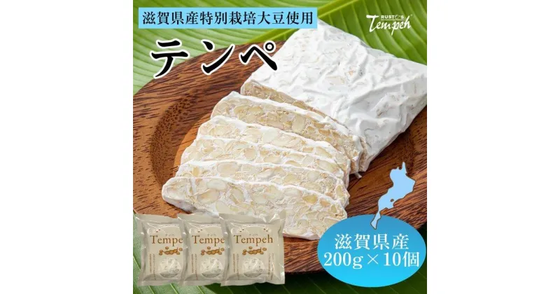 【ふるさと納税】ルストテンペ(滋賀県産特別栽培大豆使用)10個セット