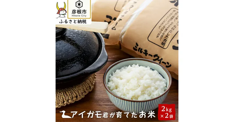 【ふるさと納税】【令和6年産】有機JAS認証「アイガモ君が育てたお米」ミルキークイーン　2kg×2【フクハラファーム】 | 精米 白米 新米 こだわり 近江米 送料無料 ブランド米