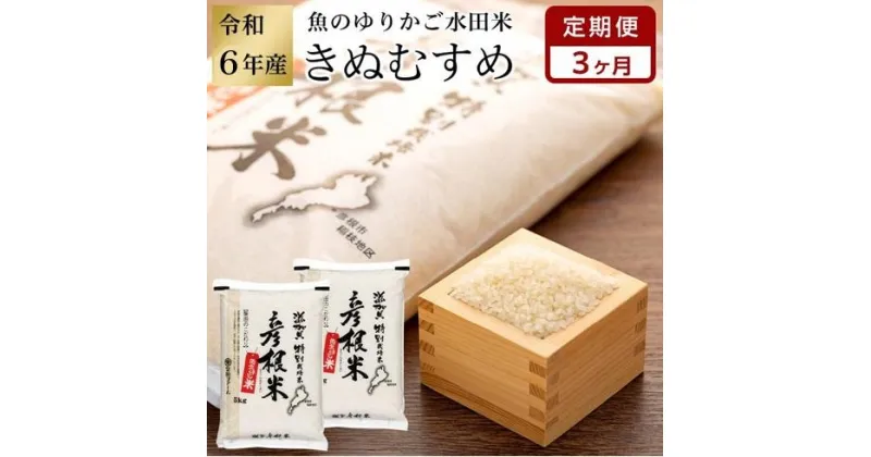 【ふるさと納税】【先行受付 数量限定】令和6年産 新米【3ヵ月定期便】滋賀県認証！魚のゆりかご水田米「きぬむすめ」白米 5kg×2セット【柴田ファーム】 | 頒布会 精米 こだわり 安心 送料無料 きぬむすめ ギフト 贈答 滋賀県 近江米