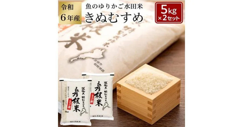 【ふるさと納税】【先行受付 数量限定】令和6年産（新米）滋賀県認証！魚のゆりかご水田米「きぬむすめ」白米 5kg×2セット【柴田ファーム】 | 精米 こだわり 安心 送料無料 きぬむすめ ギフト 贈答 滋賀県 近江米