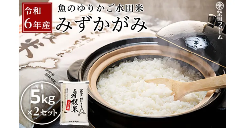 【ふるさと納税】【数量限定】令和6年産（新米）滋賀県認証！魚のゆりかご水田米「みずかがみ」白米5kg×2セット【柴田ファーム】 | 精米 こだわり 安心 送料無料 みずかがみ ギフト 贈答 滋賀県 近江米