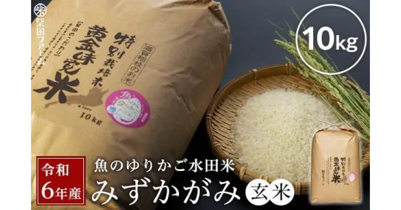 【ふるさと納税】【数量限定】令和6年産（新米）滋賀県認証！魚のゆりかご水田米「みずかがみ」玄米10kg【柴田ファーム】 | 玄米 こだわり 安心 送料無料 みずかがみ ギフト 贈答 滋賀県 近江米