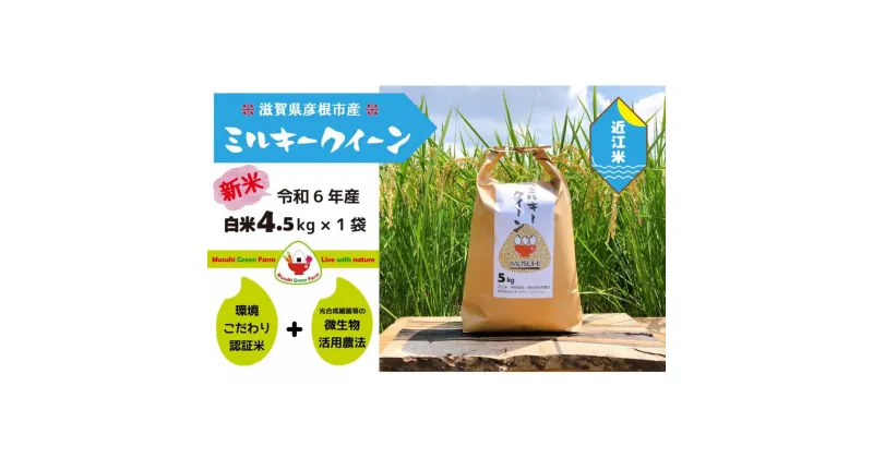 【ふるさと納税】【令和6年産・白米】近江米5kg「ミルキークイーン」精米後約4.5kg×1｜お米 白米 こめ コメ 5キロ 彦根 ひこね 滋賀