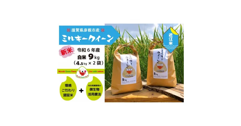 【ふるさと納税】【令和6年産・白米】近江米10kg「ミルキークイーン」精米後約9kg（約4.5kg×2）｜彦根 ひこね 滋賀 おすすめ コメ お米 米 こめ 10キロ