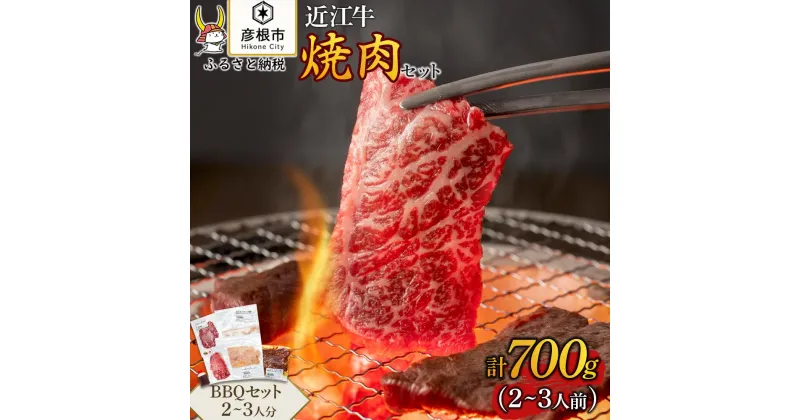 【ふるさと納税】近江牛焼肉とホルモン 旨味タレ付けミックスセット2〜3人分（BBQセット）計700g《近江牛A5ランクメス牛一頭買い みのや》 | 肉 お肉 にく 食品 滋賀県産 人気 おすすめ 送料無料