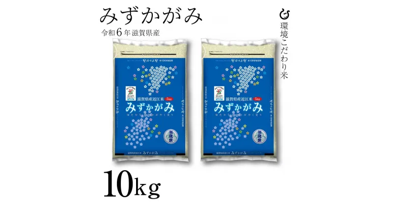 【ふるさと納税】新米 令和6年 彦根産 みずかがみ 10kg（5kg×2袋） | こめ 米 白米 食品 おすすめ 送料無料