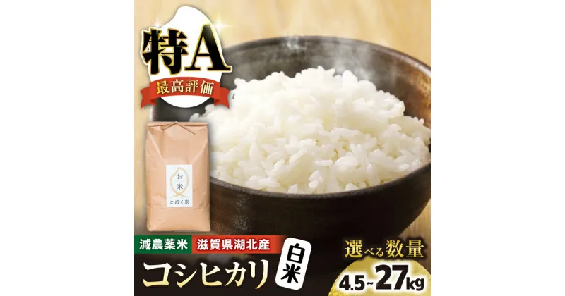 【ふるさと納税】【先行予約】＜選べる内容量＞令和6年 滋賀県湖北産 湖北のコシヒカリ 4.5kg〜27kg 白米【食味最高ランク特A 2年連続受賞】【減農薬米】｜こしひかり お米 白米 選べる 産地直送 単一原料米 精米 ご飯 先行受付 新米 ※2024年9月中旬頃より順次発送予定