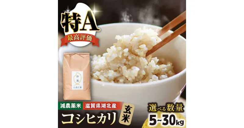 【ふるさと納税】【食味最高ランク特A 2年連続受賞】【減農薬米】滋賀県湖北産 湖北のコシヒカリ 玄米5kg　滋賀県長浜市/株式会社エース物産[AQAK001]