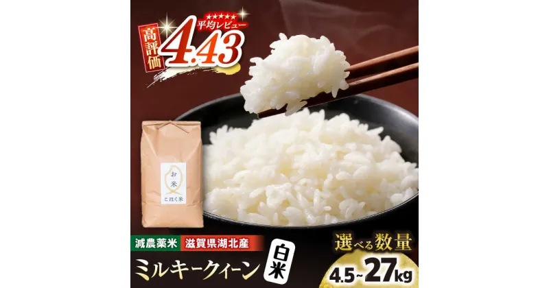 【ふるさと納税】【先行予約】 ＜選べる内容量＞令和6年 滋賀県湖北産 湖北のミルキークイーン 4.5kg〜27kg 白米【減農薬米】｜お米 白米 選べる 産地直送 単一原料米 精米 ご飯 先行受付 新米 ※2024年9月上旬頃より順次発送予定