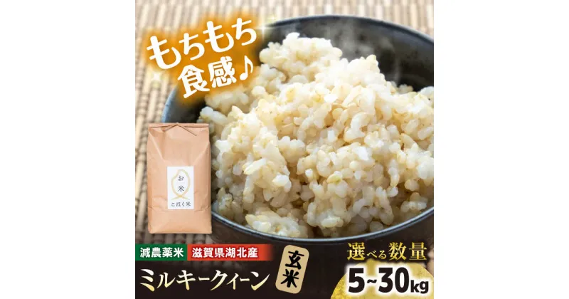 【ふるさと納税】【減農薬米】滋賀県湖北産 湖北のミルキークイーン 玄米5kg　滋賀県長浜市/株式会社エース物産[AQAK009]