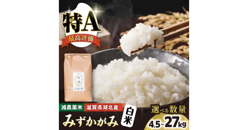 【ふるさと納税】【先行予約】＜選べる内容量＞令和6年 滋賀県湖北産 湖北のみずかがみ 白米 4.5kg〜27kg【食味最高ランク特A 4度受賞・環境こだわり米(特別栽培米)】｜お米 白米 選べる 産地直送 単一原料米 精米 ご飯 先行受付 新米 小粒※2024年9月下旬頃より順次発送予定