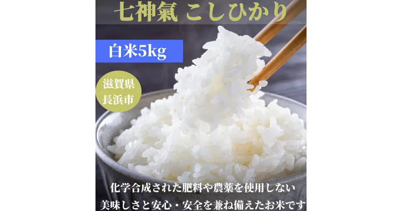 【ふるさと納税】七神氣こしひかり（有機栽培）白米5kg※着日指定不可※離島への配送不可※2023年10月上旬頃より順次発送予定 [AQCN001]