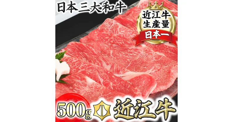 【ふるさと納税】【4等級以上】厳選　近江牛　すき焼き・しゃぶしゃぶ【500g】【牛肉】【牛】【A4】【A5】【国産】【リピート多数】【頑張った方へのご褒美を贅沢に】【畜産農家支援】