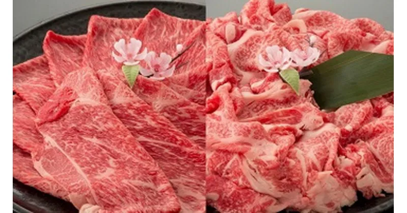 【ふるさと納税】近江牛二種セット【1kg（赤身スライス500g、切り落とし500g）】【牛肉】【牛】【牛丼】【すき焼き】【赤身】【国産】