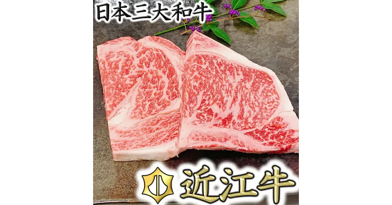 【ふるさと納税】【4等級以上】厳選 近江牛 リブロースステーキ 【500g（250g × 2枚）】【牛肉】【牛】【A4】【A5】【国産】