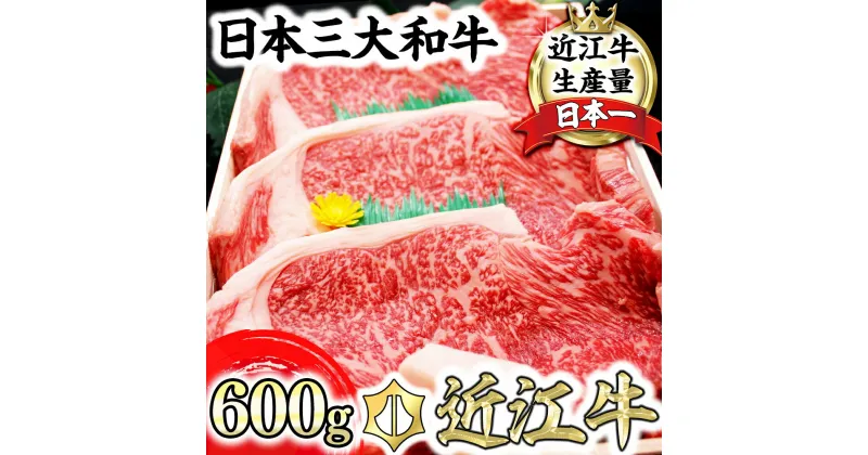 【ふるさと納税】4等級以上 近江牛 サーロインステーキ 600g（ 200g×3枚入り）牛肉 牛 A4 A5 冷蔵 国産 滋賀県産 冷蔵 贈り物 ギフト 送料無料