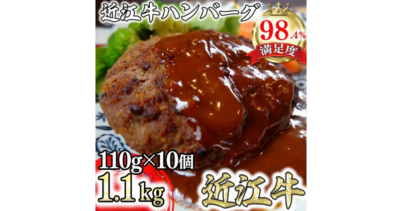 【ふるさと納税】近江牛オリジナルハンバーグの冷凍詰合せ【1,100g（110g×10個）】【国産】