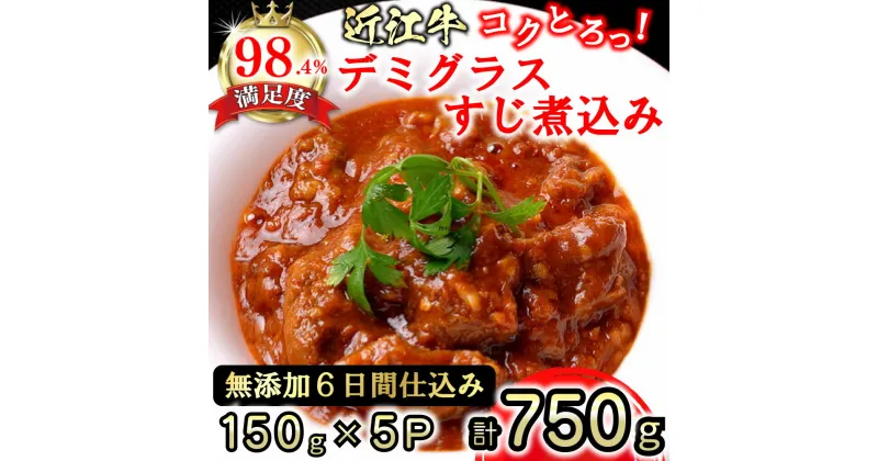 【ふるさと納税】近江牛 コクとろ！デミグラスすじ煮込み【750g（150g×5パック）】【牛肉】【牛】【国産】