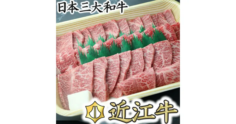 【ふるさと納税】職人厳選 近江牛 希少部位焼肉用【700g】【牛肉】【牛】【国産】