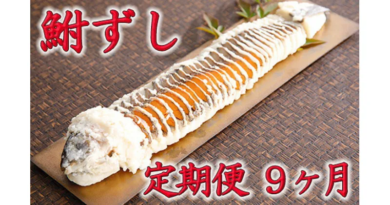 【ふるさと納税】近江本にごろ　ふなずし大380gスライス　定期便（9か月連続お届け）