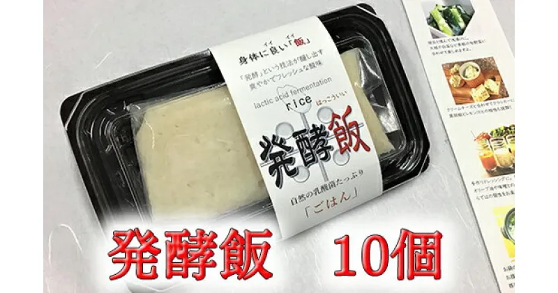 【ふるさと納税】発酵飯10個【100g×10p】