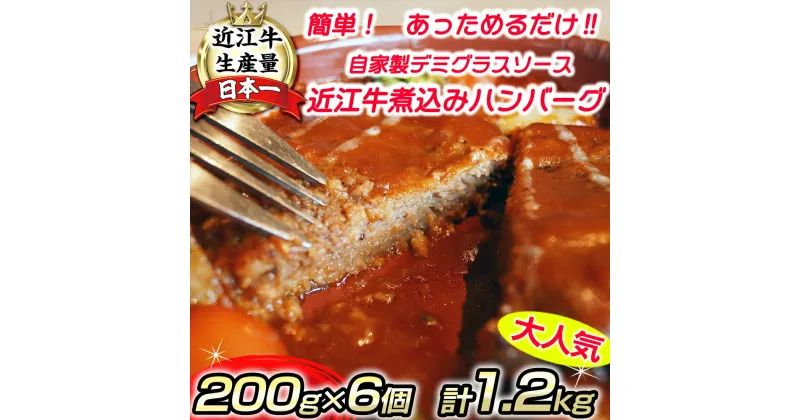 【ふるさと納税】近江牛煮込みハンバーグ　自家製デミグラスソース　【1200g（200g×6個）】【牛肉】【牛】【小分け】【国産】