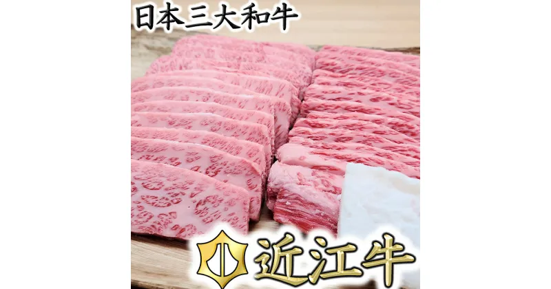 【ふるさと納税】【総本家　肉のあさの】5等級近江牛焼肉用（肩ロース・バラ）【500g】【牛肉】【牛】【a5】【国産】