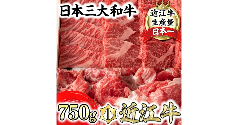 【ふるさと納税】【4等級以上】【近江牛　毛利志満】近江牛焼肉用【400g】・こま切れ【350g】【牛肉】【牛】【A4】【A5】【牛丼】【赤身】【国産】