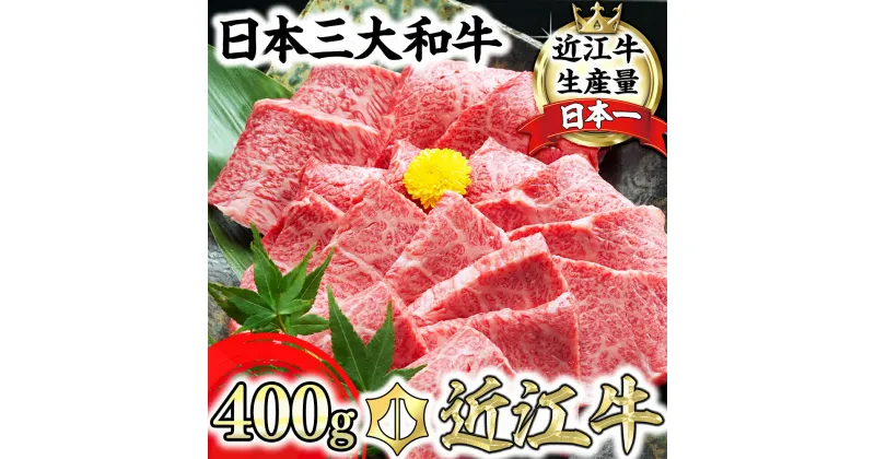 【ふるさと納税】近江牛 A5ランク カルビ 焼肉用 400g 国産 牛肉 にく 冷凍 肉のげんさん 送料無料 ブランド牛 日本三大和牛 焼き肉 バーベキュー bbq キャンプ アウトドア 化粧箱入り 贈り物 ギフト【リピート多数】【畜産農家支援】