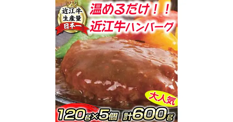 【ふるさと納税】【総本家肉のあさの】近江牛ハンバーグ【600g（120g×5個）】【牛肉】【牛】【国産】