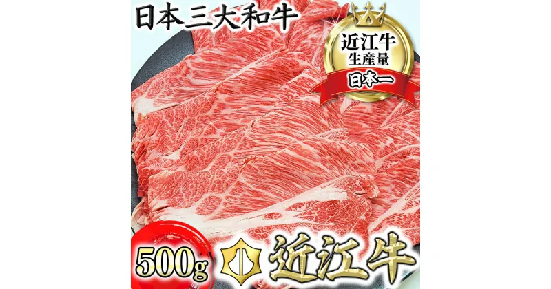 【ふるさと納税】【4等級以上】【総本家　肉のあさの】近江牛肩ロースすき焼き用 500g(250g×2)【牛肉】【牛】【A4】【A5】【国産】 すき焼き肉