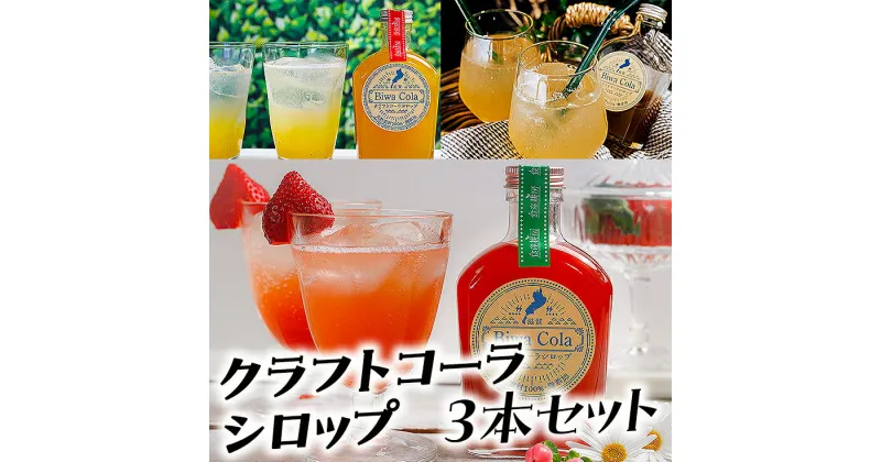 【ふるさと納税】びわコーラ クラフトコーラシロップ3本セット