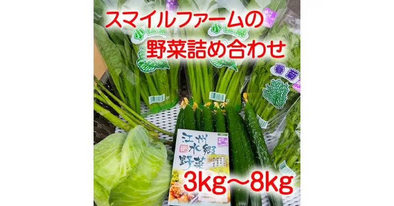 【ふるさと納税】近江農家野菜詰め合わせセット3kg〜8kg