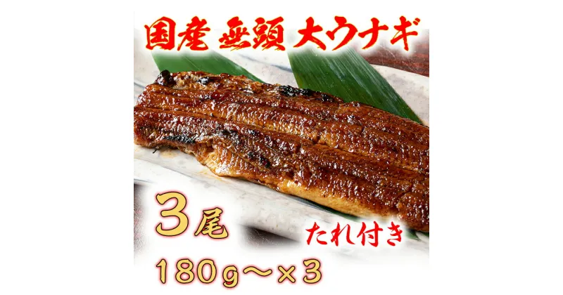 【ふるさと納税】国産うなぎ　備長炭地焼き蒲焼き180g以上×3尾　タレ付き×3 国産 鰻 ウナギ 土用の丑の日 グルメ 国内産 冷凍 タレ付き 送料無料 プレゼント 贈り物 ギフト