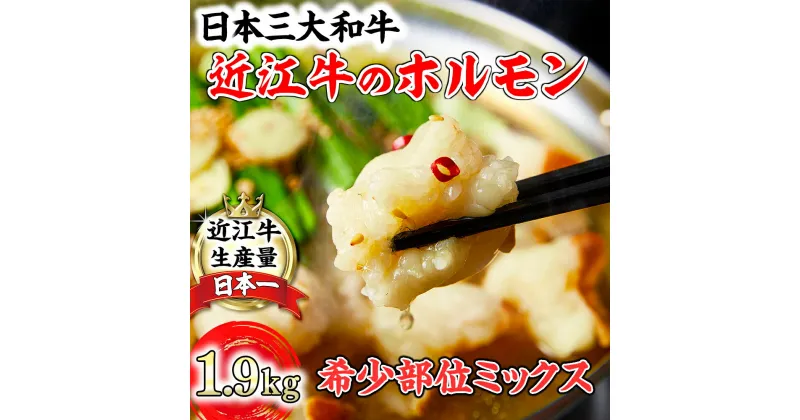 【ふるさと納税】数量限定 希少近江牛ホルモン＆ミックスホルモン 合計1.9kg