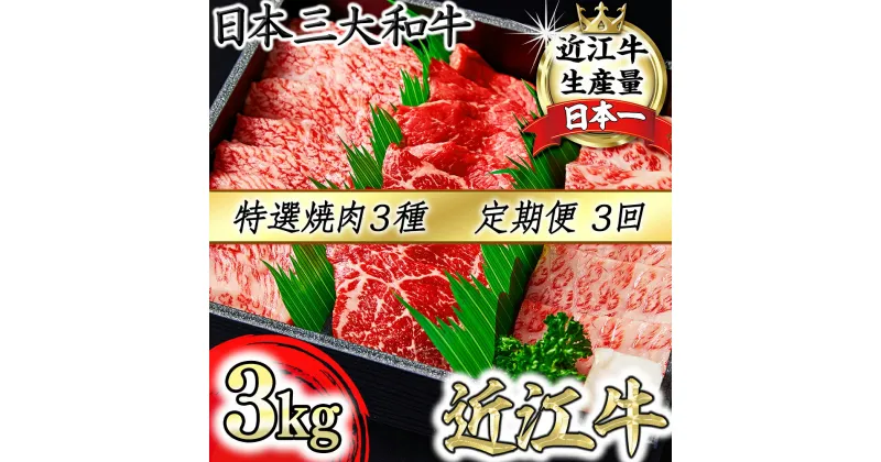 【ふるさと納税】【定期便】A4A5等級特選近江牛おすすめ部位 焼肉3種（1kg×3回）