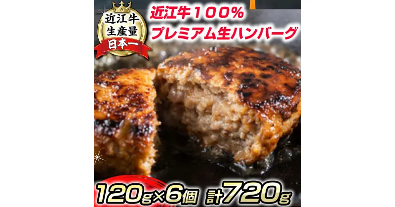 【ふるさと納税】近江牛100％　プレミアム生ハンバーグ　720g（約120g×6個）