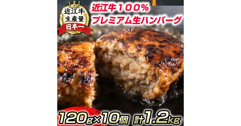 【ふるさと納税】近江牛100％　プレミアム生ハンバーグ1.2kg（約120g×10個）