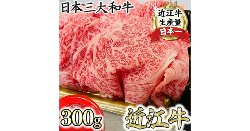 【ふるさと納税】【森村商会】特選近江牛リブ切りおとし300g【冷凍】【冷凍】【牛肉 ランキング 極上 ブランド牛 旨み たっぷり 送料無料 】【国産】