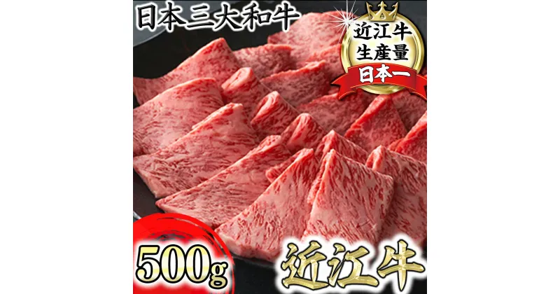 【ふるさと納税】【寛閑観】近江牛焼肉用『霜降り×赤身ミックス』500g（冷蔵）