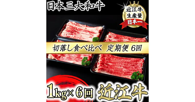 【ふるさと納税】【定期便】全6回　A4A5 近江牛切り落とし食べ比べ 　250g×4p