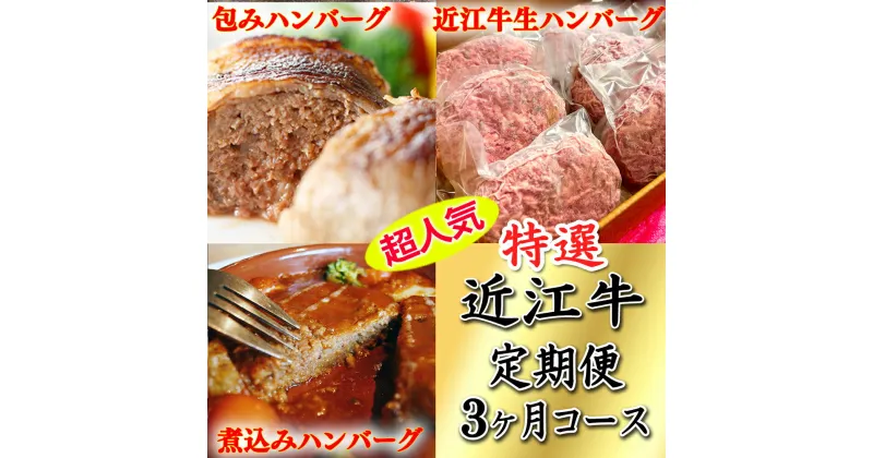 【ふるさと納税】【牛肉】令和6年12月31日までの期間限定みんな大好き　ハンバーグ定期便【牛】【ハンバーグ】【国産】