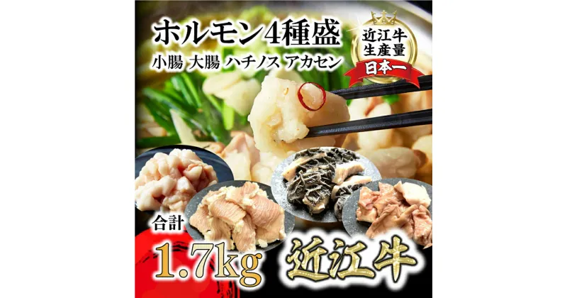 【ふるさと納税】希少近江牛ホルモン4種盛（小腸 大腸 ハチノス アカセン）計1.7kg