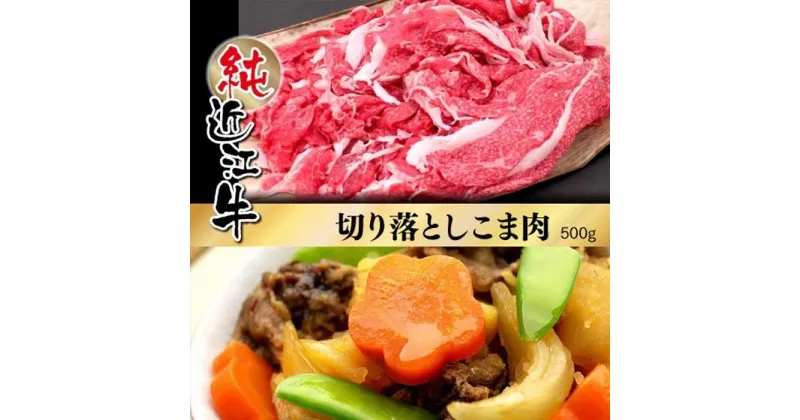 【ふるさと納税】近江牛 切り落とし こま肉 500g | 肉 お肉 牛肉 日本三大 黒毛和牛 滋賀 切り落し 小間切れ こま切れ 炒め物 煮物 カレー ハヤシライス 牛丼 ギフト 贈答 お取り寄せ グルメ 人気 おすすめ 草津市