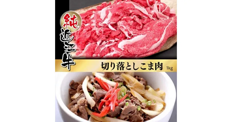 【ふるさと納税】近江牛 切り落とし こま肉 1kg | 肉 お肉 牛肉 日本三大 黒毛和牛 滋賀 切り落し 小間切れ こま切れ 炒め物 煮物 カレー ハヤシライス 牛丼 ギフト 贈答 お取り寄せ グルメ 人気 おすすめ 草津市