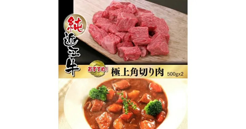 【ふるさと納税】近江牛 カレー シチュー 極上 角切り肉 | 肉 お肉 牛肉 日本三大 黒毛和牛 滋賀 煮物 ギフト 贈答 お取り寄せ グルメ 人気 おすすめ 草津市