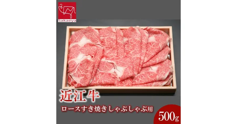 【ふるさと納税】近江牛 ロース すき焼き しゃぶしゃぶ 500g | 肉 お肉 牛肉 にく 黒毛和牛 日本三大和牛 高級 ブランド 滋賀 すきやき すき焼 鍋 お鍋 パーティ お祝い ギフト 人気 おすすめ お取り寄せ グルメ 滋賀県 草津市