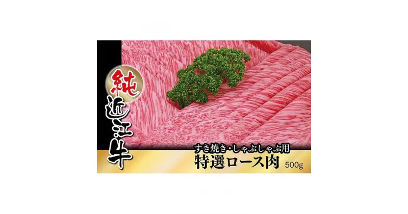 【ふるさと納税】近江牛 すき焼き しゃぶしゃぶ 特撰 ロース肉 500g | 肉 お肉 牛肉 日本三大 黒毛和牛 滋賀 すき焼 すきやき ロース にく ギフト 贈答 お取り寄せ グルメ 人気 おすすめ 草津市