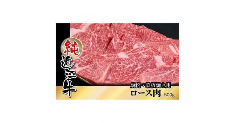 【ふるさと納税】近江牛 焼肉 鉄板焼き ロース肉 500g | 肉 お肉 牛肉 日本三大 黒毛和牛 滋賀 焼き肉 やき肉 やきにく ロース にく ギフト 贈答 お取り寄せ グルメ 人気 おすすめ 草津市