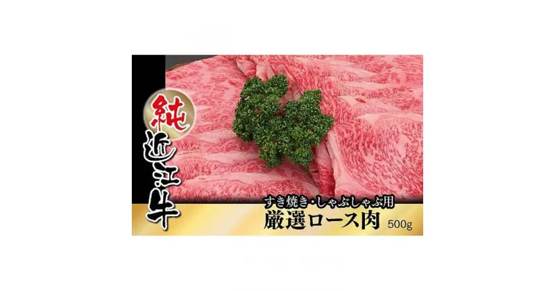 【ふるさと納税】近江牛 すき焼き しゃぶしゃぶ 厳選 ロース肉 500g | 肉 お肉 牛肉 日本三大 黒毛和牛 滋賀 すき焼 すきやき ロース にく ギフト 贈答 お取り寄せ グルメ 人気 おすすめ 草津市